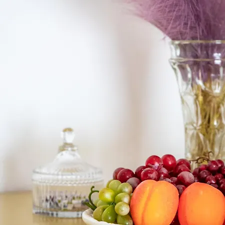 招待所 Rose 斯科派洛斯